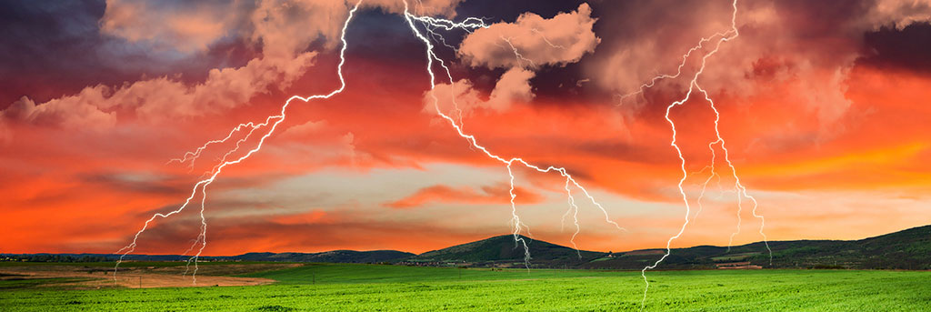 Tame the storm product recalls unleash with the right inventory management software