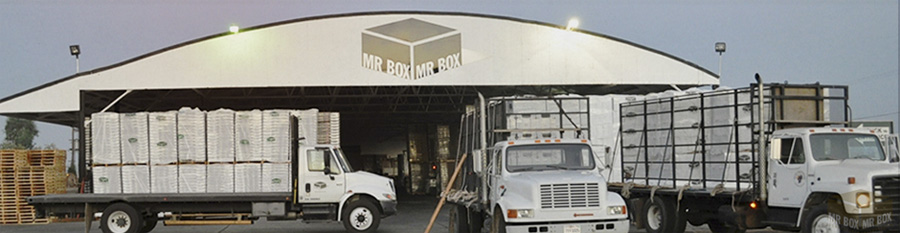 MR BOX, one-stop-shop for fresh produce packaging