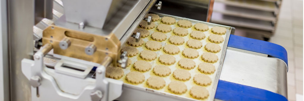 Process manufacturing software Process manufacturing software