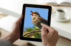 Bird Watcher's Digest publication uses Acctivate Inventory Software