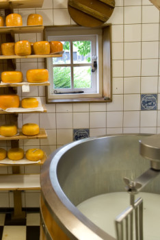 Dairy and cheese process manufacturing software: lot traceability