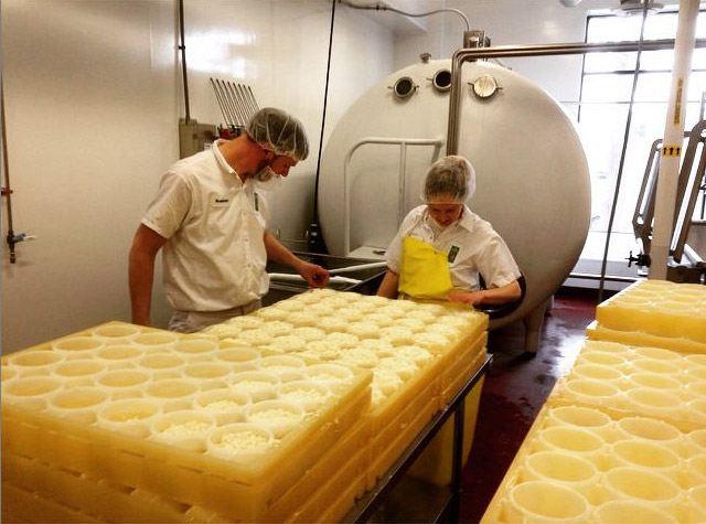 The Lone Grazer Creamery Cheese Production