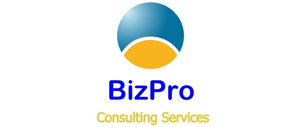 BizPro Consulting Services BizPro Consulting Services