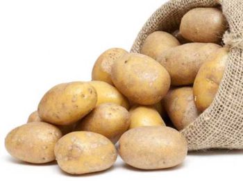 Summertime Potato Company handles packaging & distribution of russet potatoes with produce distribution software