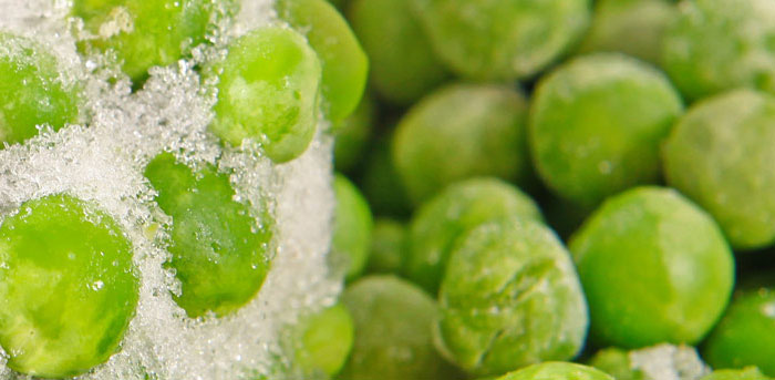 Frozen Food ERP Software