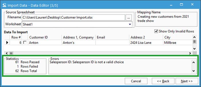 Data statistics and error messages for customer import