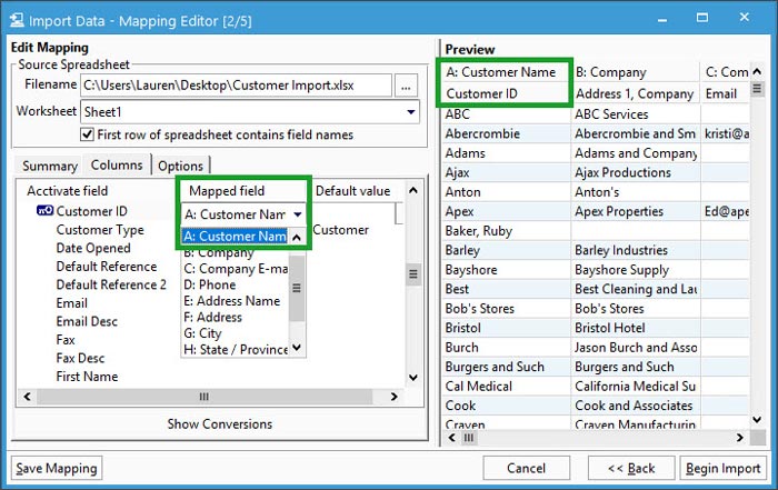 Select mapped fields for customer import