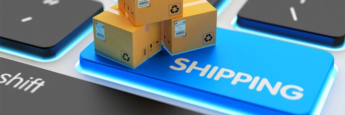 Shopify wholesale shipping processes are made seamless with Acctivate Inventory Software