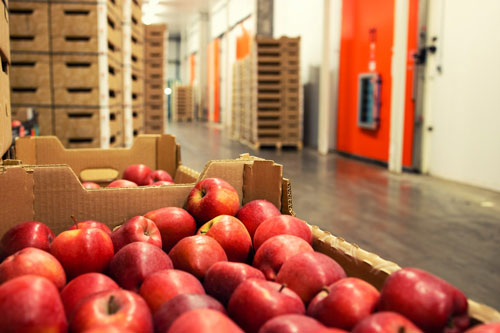 ERP for food distribution helps businesses involved in the distribution of food products to manage inventory, procurement, orders, and traceability.