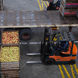 Forklift in food distribution warehouse that uses an ERP for food distribution system