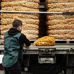 Person at delivery truck full of packaged potatoes fulfilled with food distributor software