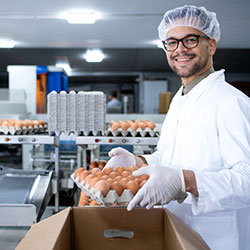 Person packing eggs at wholesale business using software for food distributors that use QuickBooks