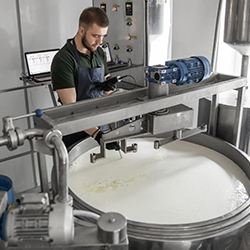 Worker checking temperature during cheese production with ERP software for dairy manufacturers