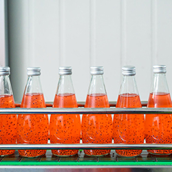 Beverage manufacturing ERP solutions track bottled juice Juice bottles on conveyor belt in factory being processed using a beverage manufacturing ERP solution