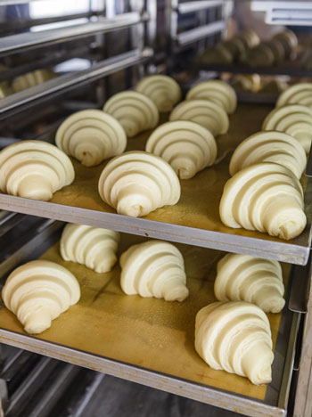 Croissant dough baking in production facility for a business that uses a bakery distribution system for batch process manufacturing.