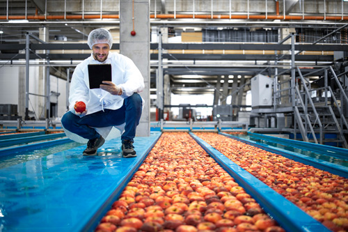 Worker in processing factory manages inventory on tablet with Acctivate Fruit and Vegetable ERP Software for QuickBooks