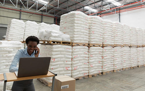 Person in food product warehouse on phone and laptop during inventory software implementation