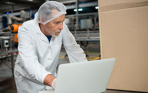 Person in food business warehouse on laptop looking at inventory tracking spreadsheets